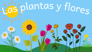 Las Plantas y Flores